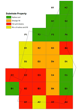 Dominant soil properties of each 100 m  100 m Teaneck Creek sampling unit.
